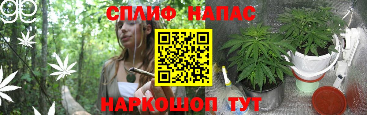 Конопля Amnesia Сланцы